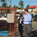 Early voting, mistrust, disturbances and arrests; features of E-Day