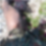 GDF EXPLOSION UPDATE: Lance Corporals, Private and Sargent identified as victims