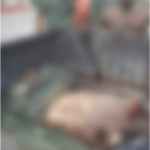 GDF EXPLOSION UPDATE: Lance Corporals, Private and Sargent identified as victims