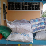 MAKING A DIFFERENCE: Women leads COVID-19 humanitarian relief efforts amidst challenges