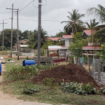 Barrel murder; Detained man had earlier introduced woman to his mother 