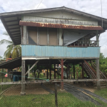 1-Y-O keeps crying for murdered mom to 'wake up' 