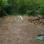 AT THE STATE'S MERCY: Will the government act compassionately or not?