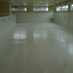 Infectious Diseases Hospital for August opening