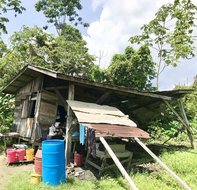 SINKING: Moleson Creek woman seeks help before it all goes down