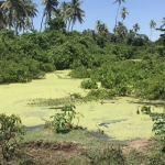 Agri Minister provides relief for flood-plagued residents 