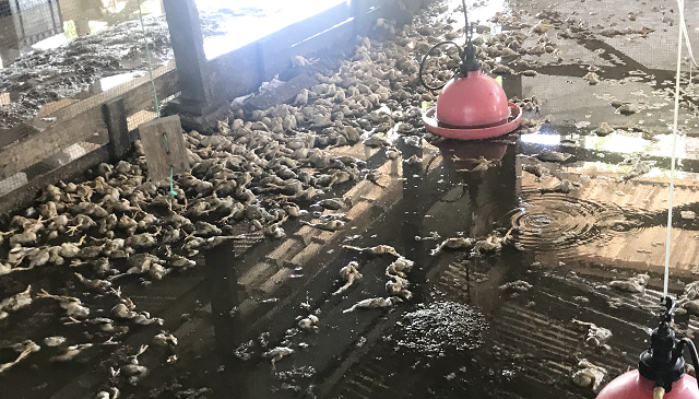 High-priority areas in focus to alleviate flooding in 2024- Agri Minister