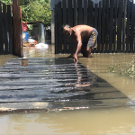 Close to 4000 chicken amounting to millions loss to flooding 
