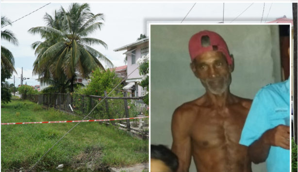 Handyman pull dead from alleyway after employer sent him home