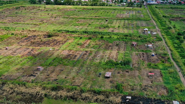 GuySuCo to flood out Success, Chateau Margot squatters