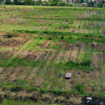 Squatters tell Croal why they illegally took up state lands