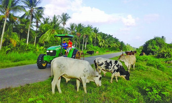 Berbice to have its own School of Agriculture- Mustpah