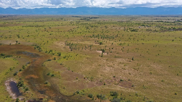 Scheme with 800 house lots for Lethem