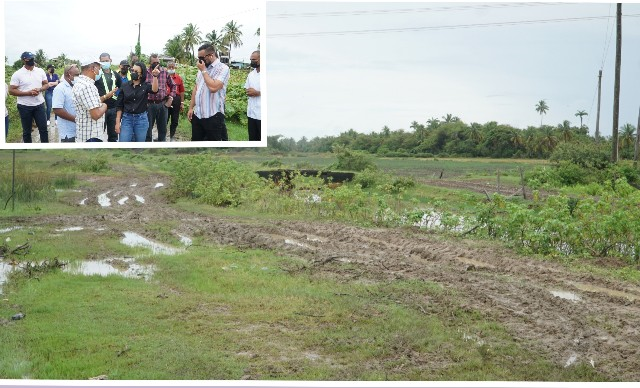 Spotting for high, middle and low income housing lots commenced in Region 5
