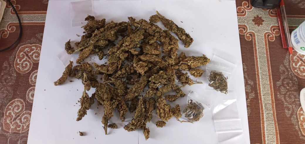 Police remove marijuana from Dolphin Secondary School