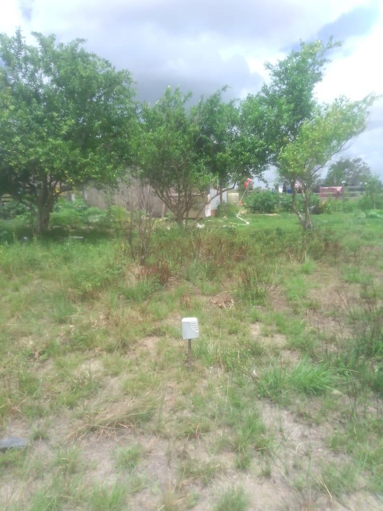The backyard where Smith's body was found.
