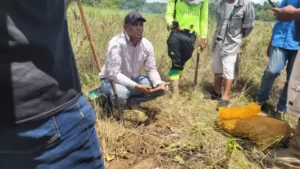 NAREI officials engaging farmers (DPI Photo)