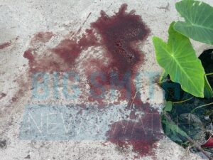 2 dead, 2 critical as Victoria men brawl at construction party