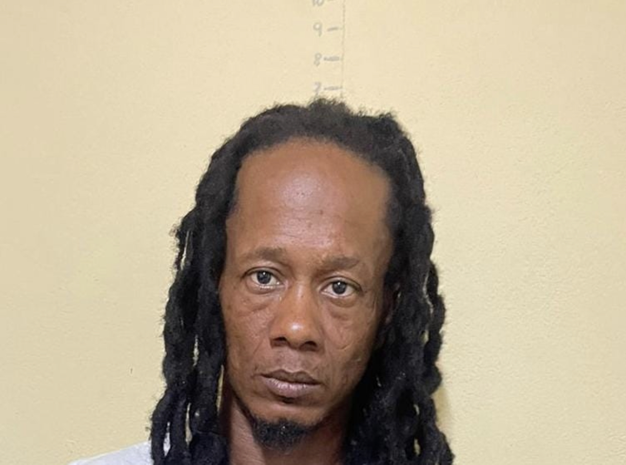 Freed murder accused arrested in 'drugs over prison wall' probe