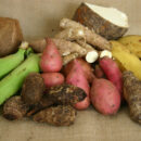 Produce from Region 1 to cushion Georgetown's Market price