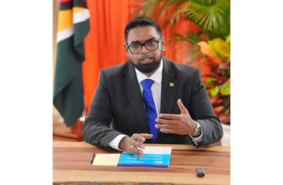Work together or bore holes in the GPF- Pres. Ali to police