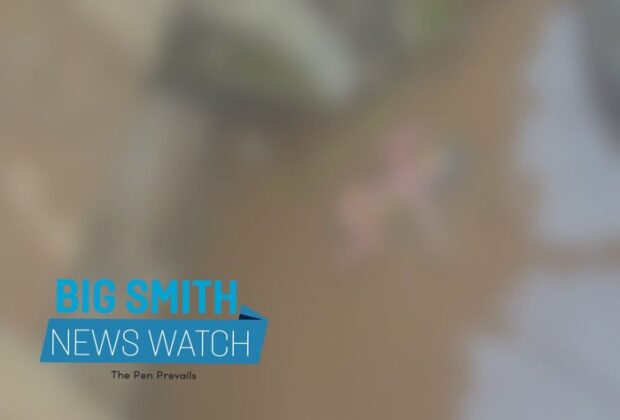 BREAKING- Body of baby with attached umbilical cord spotted in Demerara River