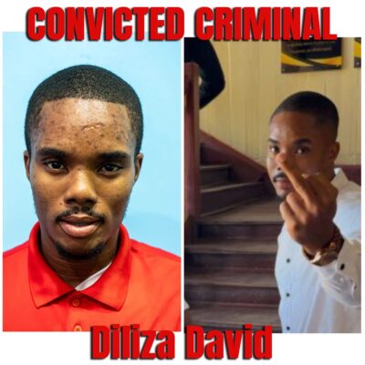 https://bigsmithnewswatch.news/photographer-diliza-david-sent-to-jailed-for-cybercrime-offences/