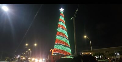 Rahamans tree