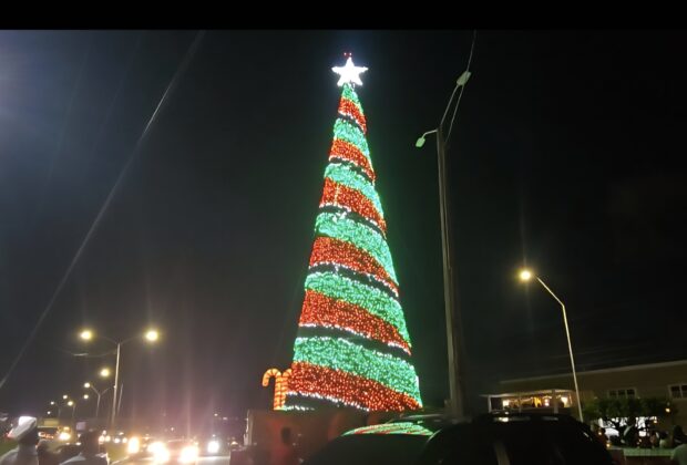 Rahamans tree