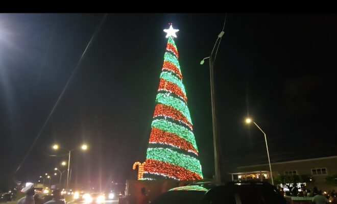 Rahamans tree