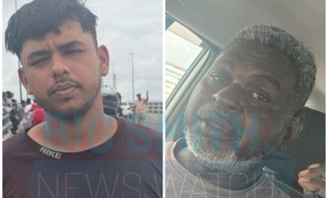 HARBOUR BRIDGE CRASH: Truck driver sent to jail, owner on bail